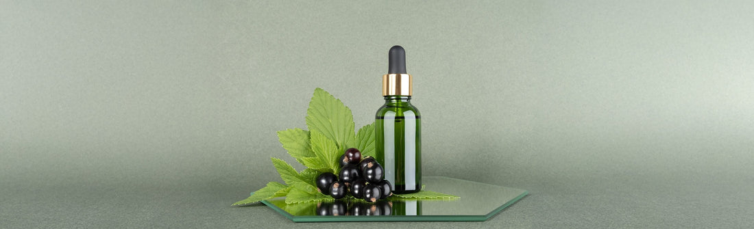Unlocking the Skin Benefits of New Zealand Blackcurrant: A Story of Nature's Power and Innovation