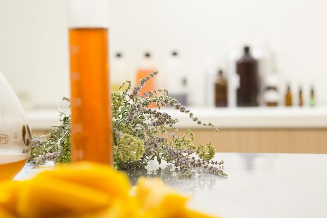 Top 10 Reasons Why Manuka Honey is Your Skin's Best Friend - KOHA BEAUTY