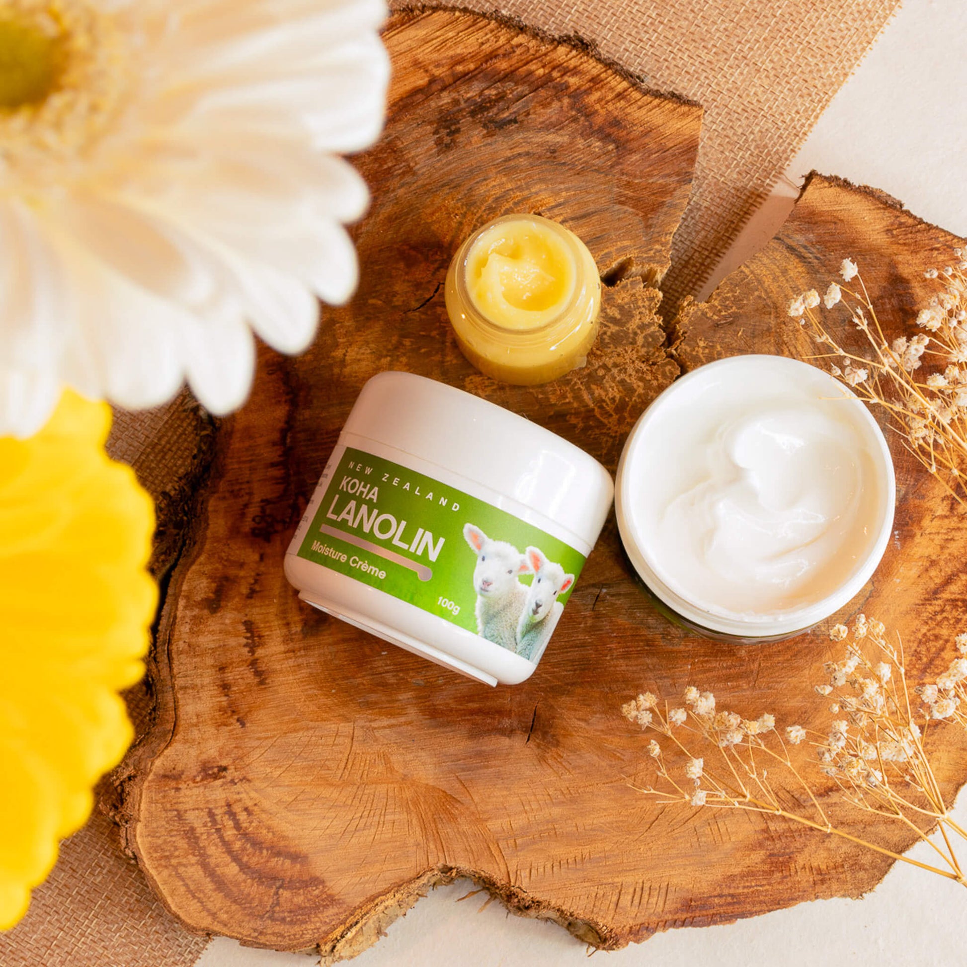 Koha Lanolin Moisture Creme 100g - KOHA BEAUTY